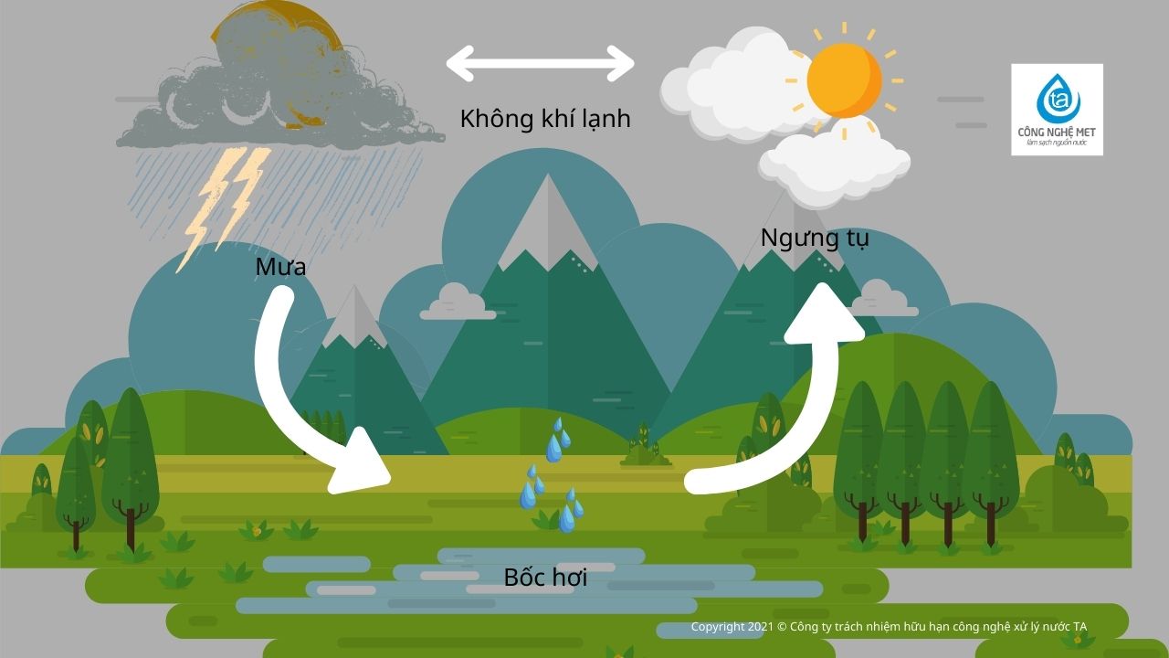 Cách lọc nước mưa đơn giản | Hướng dẫn xử lý đạt tiêu chuẩn Bộ Y tế