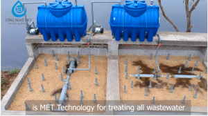 Xử lý nước thải nuôi trồng thuỷ sản