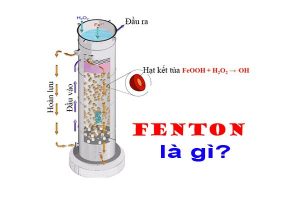Fenton là gì